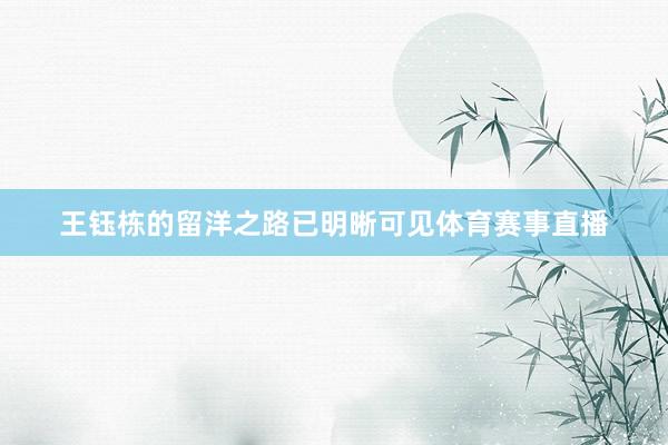 王钰栋的留洋之路已明晰可见体育赛事直播