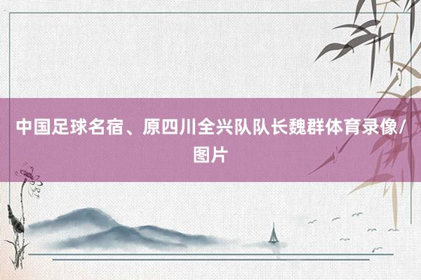 中国足球名宿、原四川全兴队队长魏群体育录像/图片