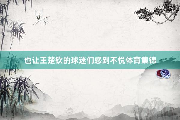 也让王楚钦的球迷们感到不悦体育集锦