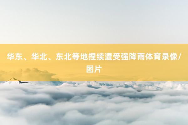 华东、华北、东北等地捏续遭受强降雨体育录像/图片