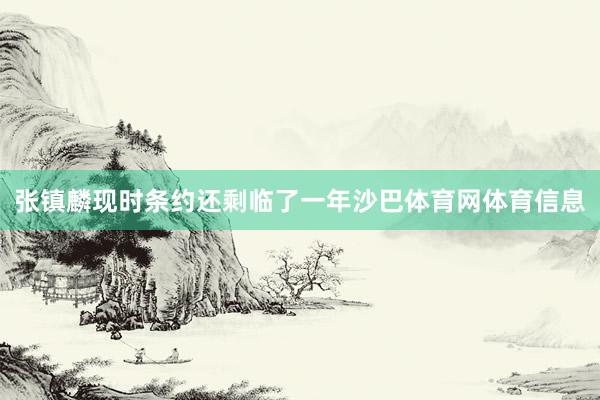 张镇麟现时条约还剩临了一年沙巴体育网体育信息
