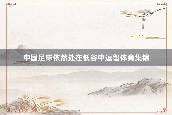 中国足球依然处在低谷中逗留体育集锦