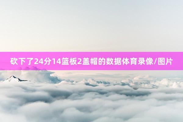 砍下了24分14篮板2盖帽的数据体育录像/图片