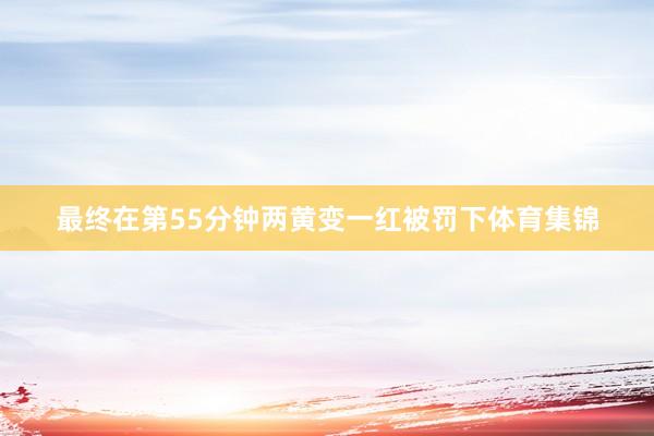 最终在第55分钟两黄变一红被罚下体育集锦