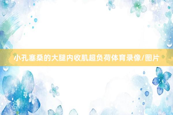 小孔塞桑的大腿内收肌超负荷体育录像/图片
