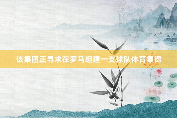 该集团正寻求在罗马组建一支球队体育集锦