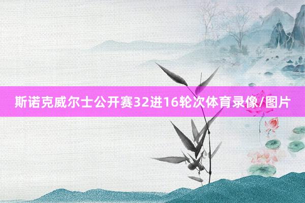 斯诺克威尔士公开赛32进16轮次体育录像/图片