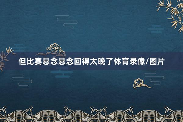 但比赛悬念悬念回得太晚了体育录像/图片