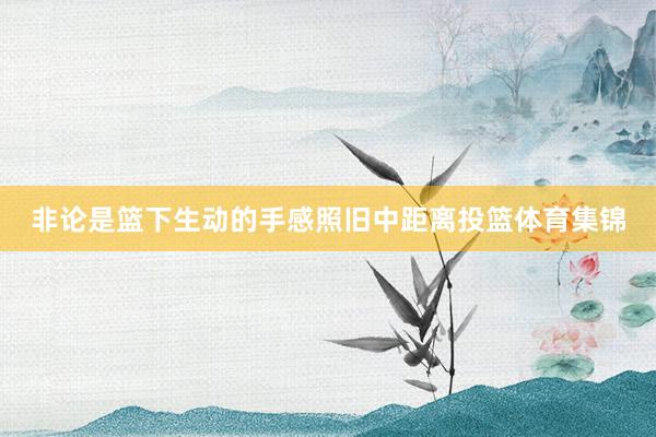 非论是篮下生动的手感照旧中距离投篮体育集锦