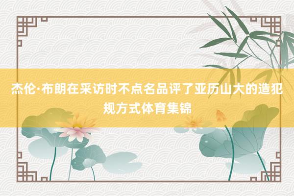 杰伦·布朗在采访时不点名品评了亚历山大的造犯规方式体育集锦