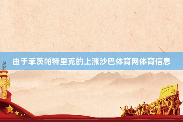 由于菲茨帕特里克的上涨沙巴体育网体育信息