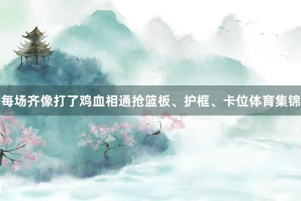 每场齐像打了鸡血相通抢篮板、护框、卡位体育集锦