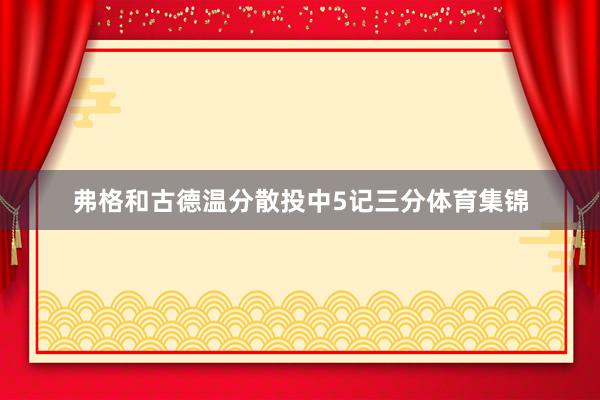 弗格和古德温分散投中5记三分体育集锦