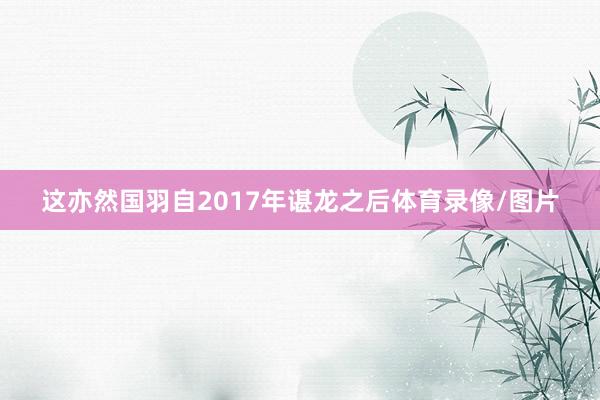 这亦然国羽自2017年谌龙之后体育录像/图片