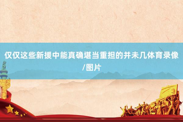 仅仅这些新援中能真确堪当重担的并未几体育录像/图片