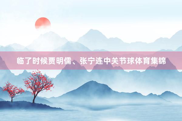 临了时候贾明儒、张宁连中关节球体育集锦