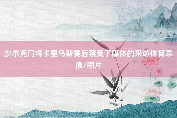 沙尔克门将卡里乌斯赛后禁受了媒体的采访体育录像/图片