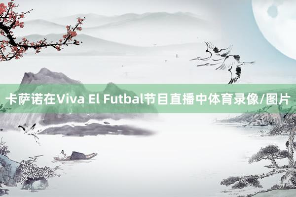 卡萨诺在Viva El Futbal节目直播中体育录像/图片