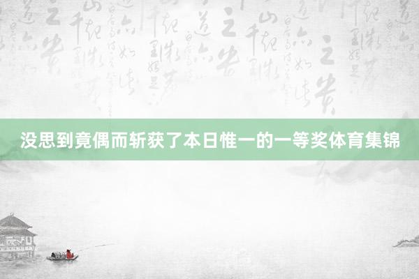 没思到竟偶而斩获了本日惟一的一等奖体育集锦