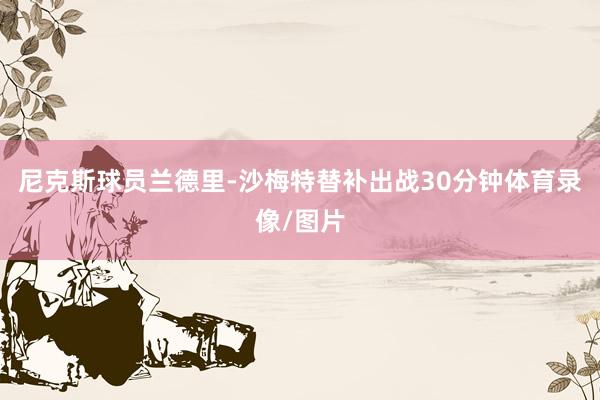 尼克斯球员兰德里-沙梅特替补出战30分钟体育录像/图片
