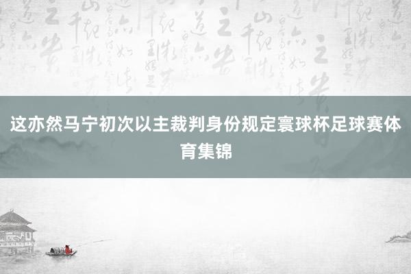 这亦然马宁初次以主裁判身份规定寰球杯足球赛体育集锦